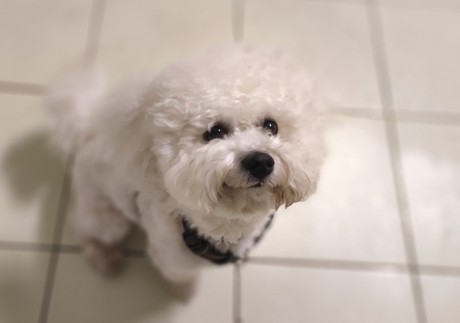 Sam