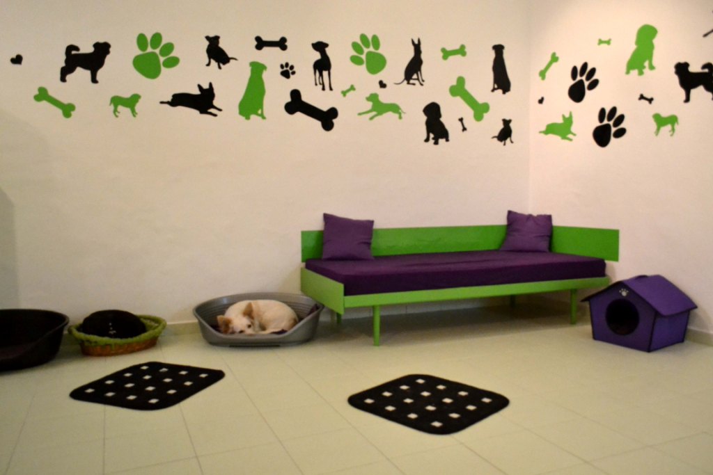 Odpolední siesta - pelíšky jsou vždy připravené...