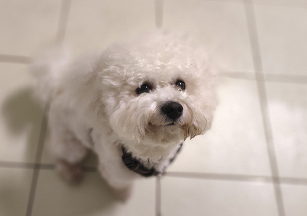 Sam