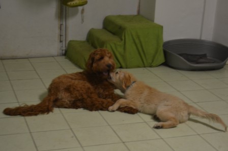 dsc_0916.jpg