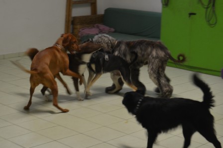 dsc_0885.jpg