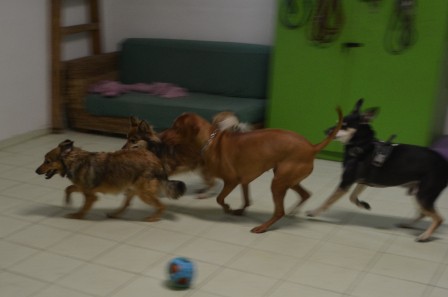 dsc_0961.jpg