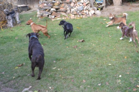 dsc_1060.jpg