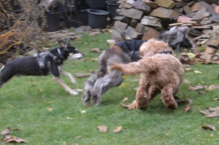 dsc_0971.jpg