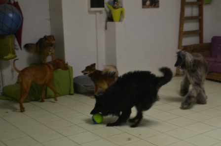 dsc_0899.jpg