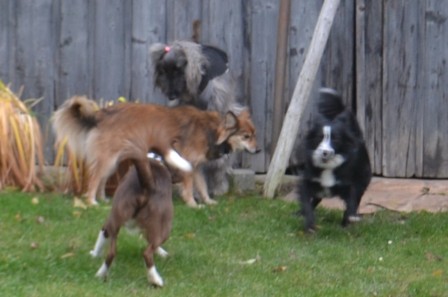 dsc_0982.jpg