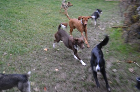 dsc_1024.jpg