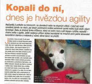 novy-obrazek.jpg